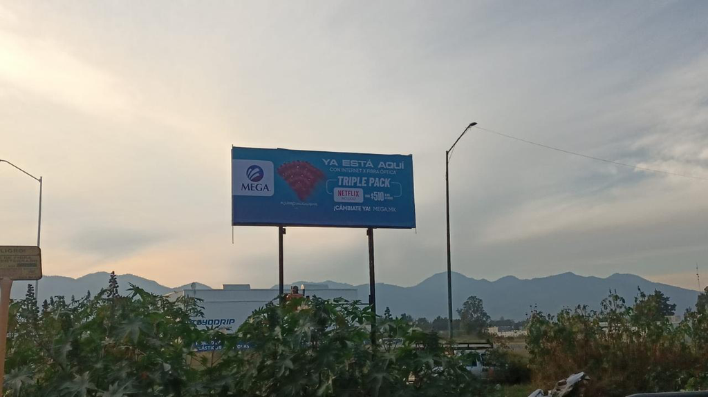 VA CIUDAD GUZMAN 1 CC