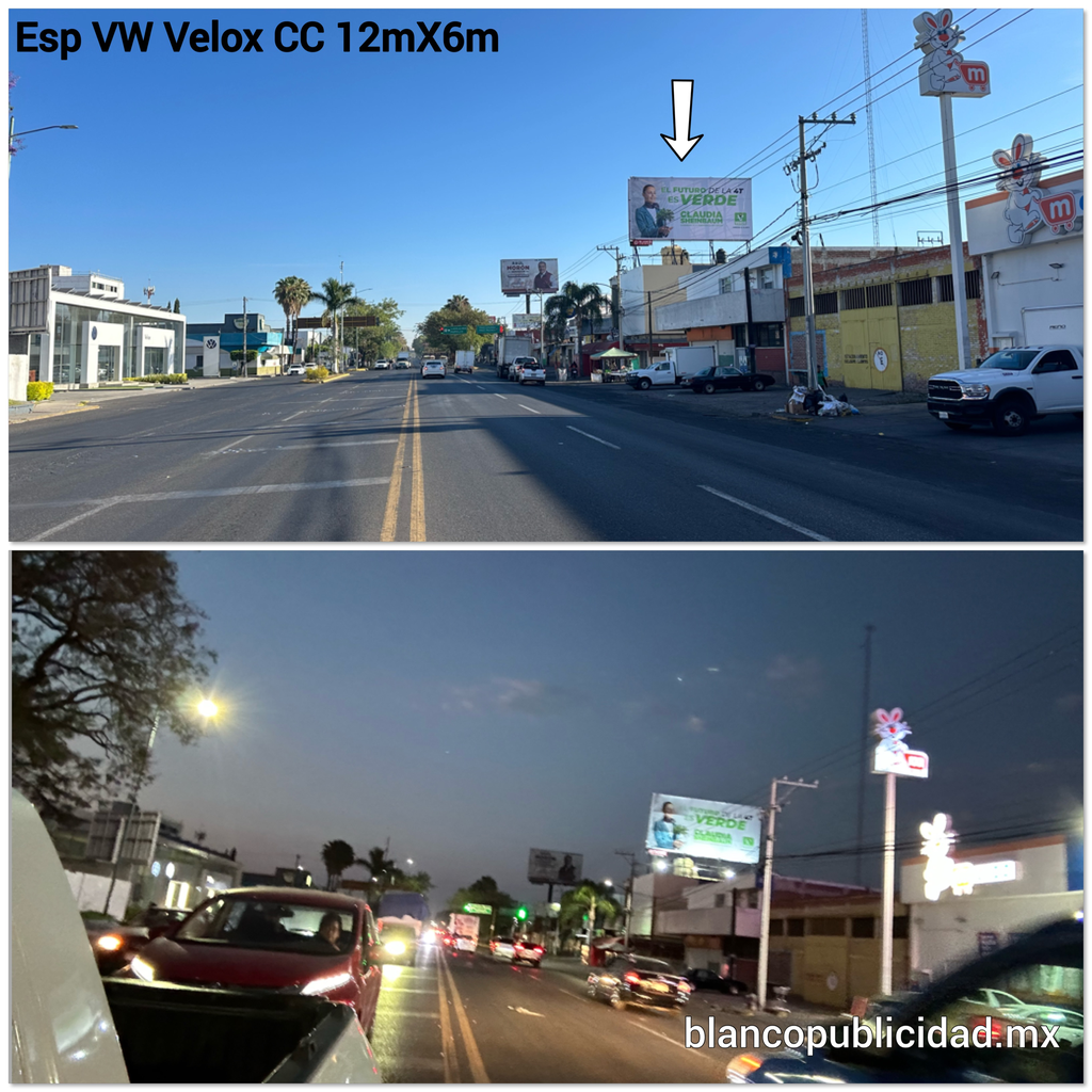ESP VW VELOX CN 