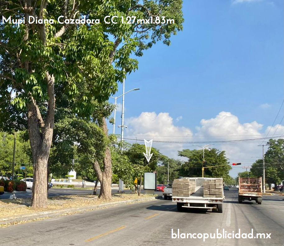 MUPI DIANA CAZADORA CC