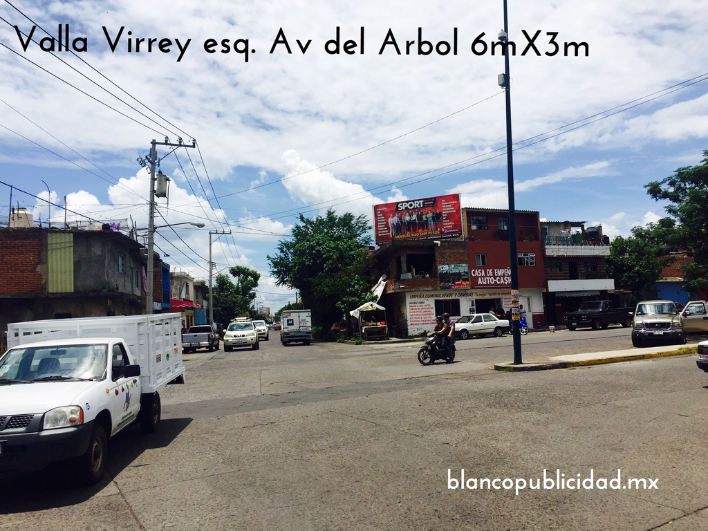 VA VIRREY ESQ AV. ARBOL