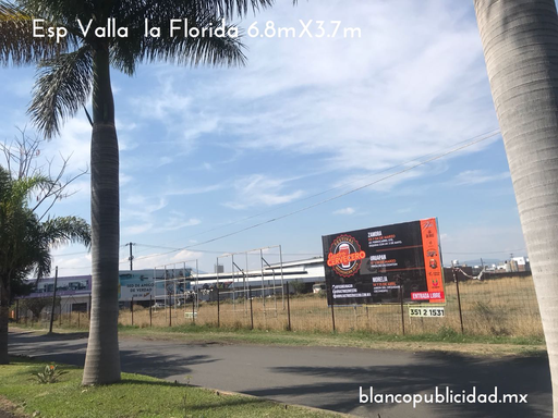 [MIZAV005-1] VA LA FLORIDA 1