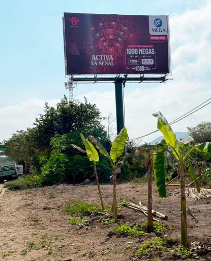 [COMAE001] ESP MANZANILLO AEROPUERTO 