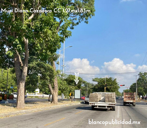 [COVAM002-2] MUPI DIANA CAZADORA CC