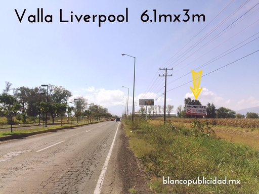 [MIZAV003-1] VA LIVERPOOL CN